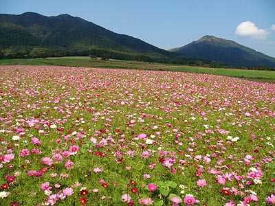 とっとりサイクリング女子会報告