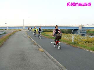 cycling201011.jpg