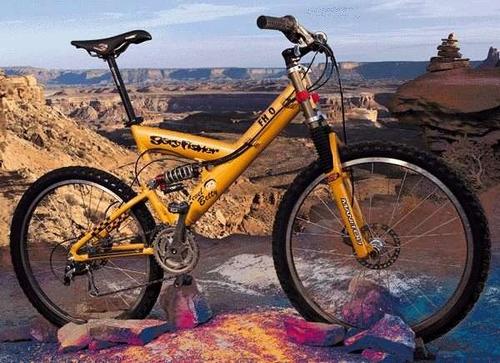 GARY FISHER LEVEL BETTY FH0 FRAMESET