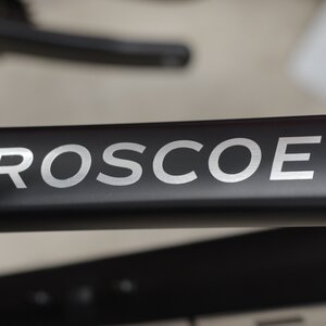 TREK Roscoe 7